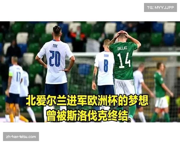 斯洛伐克1-0绝杀北爱尔兰 积分紧追德国